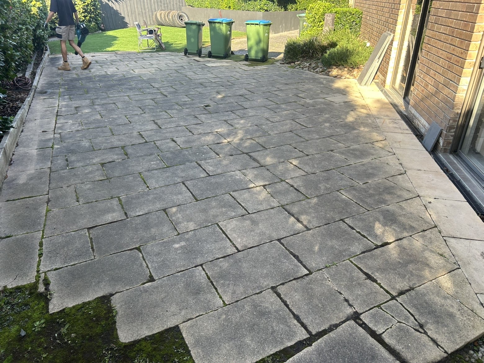 Pavers before cleaning