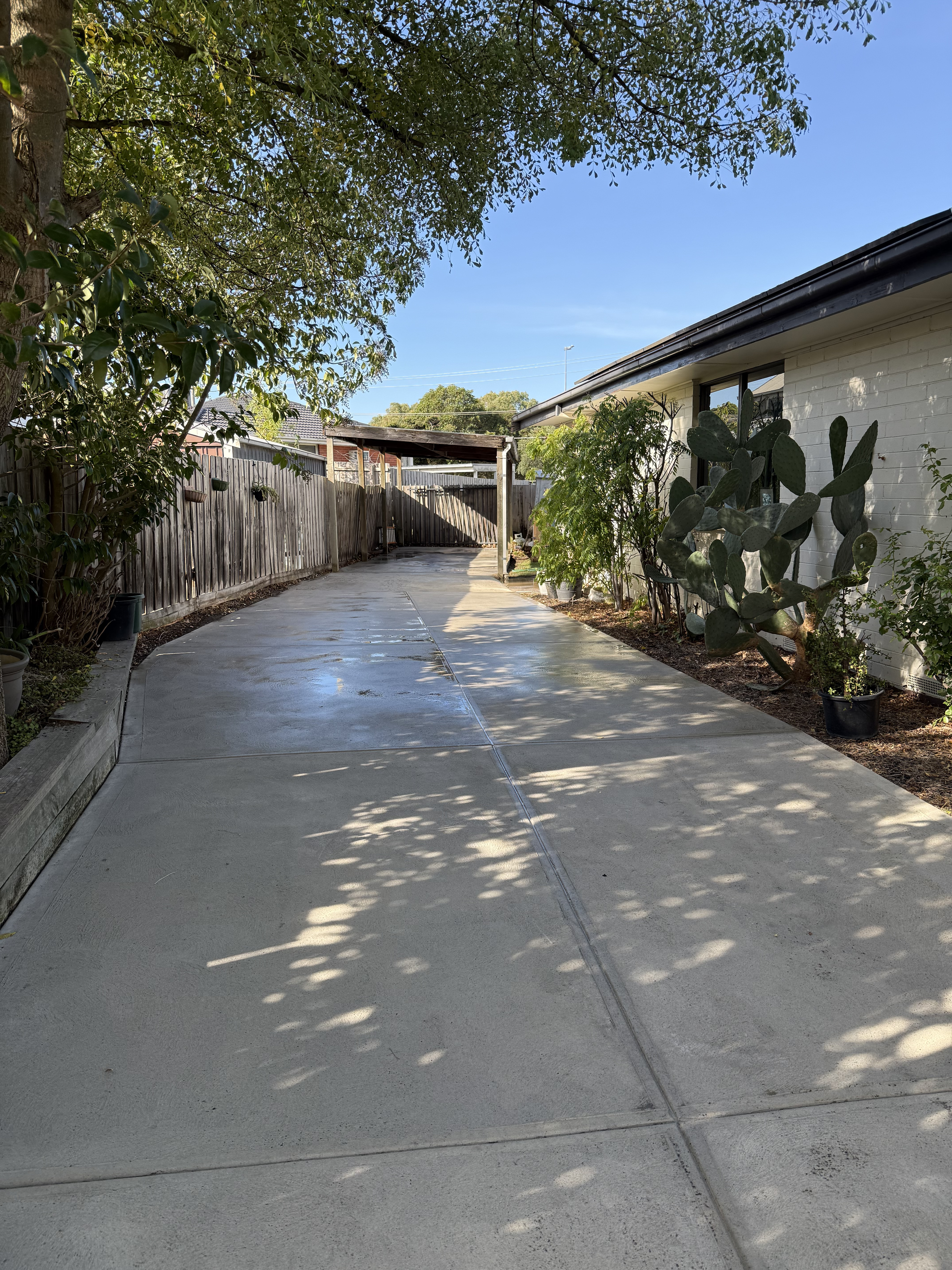 Driveway after cleaning