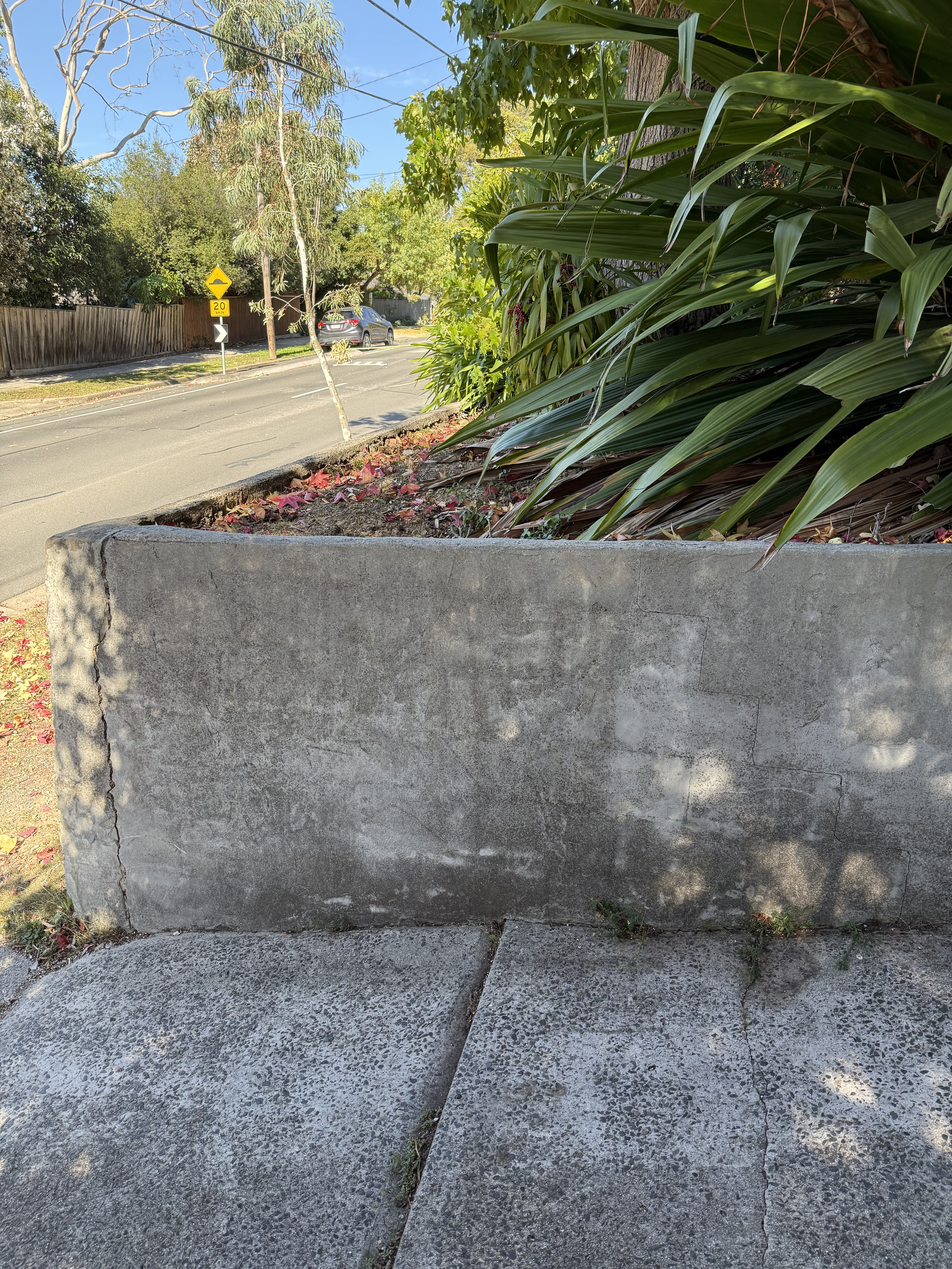 Concrete before cleaning