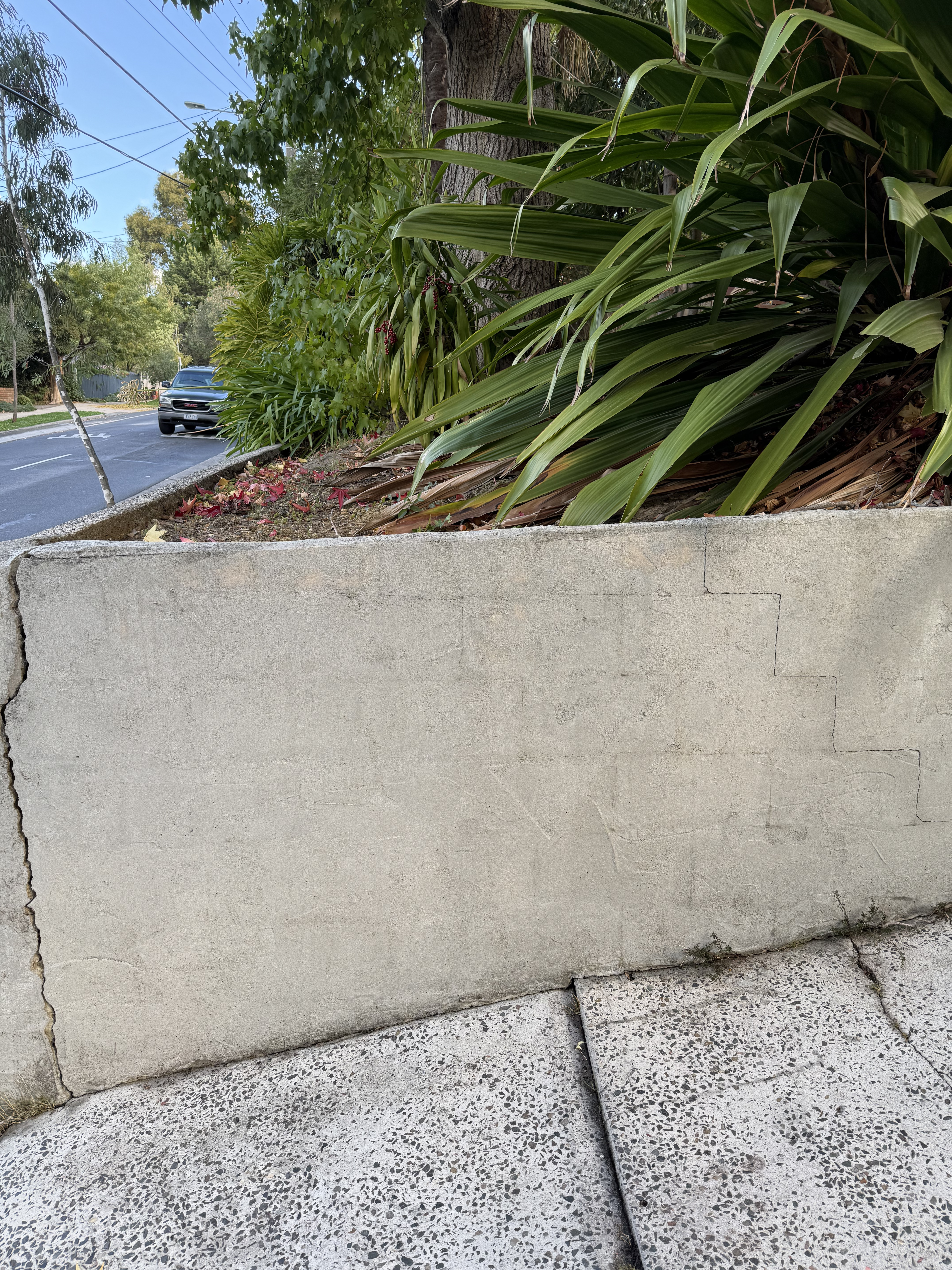 Concrete after cleaning