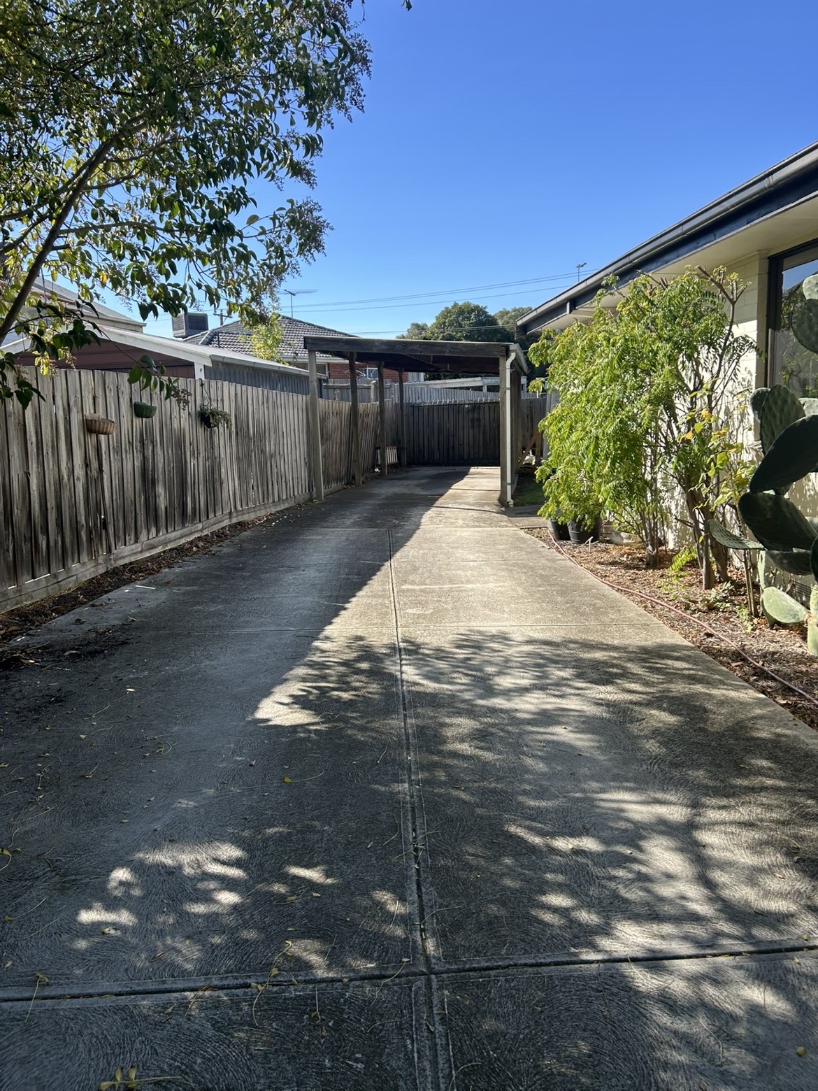 Driveway before cleaning